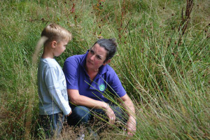 Cedar Forest School